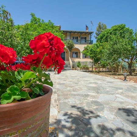 Apartmán Casa Tsounis By "Elite" Volímai Exteriér fotografie